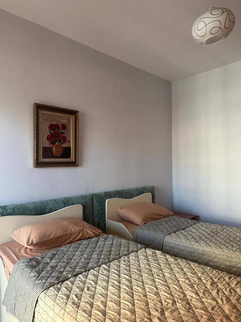 Apartment Turdiu Center